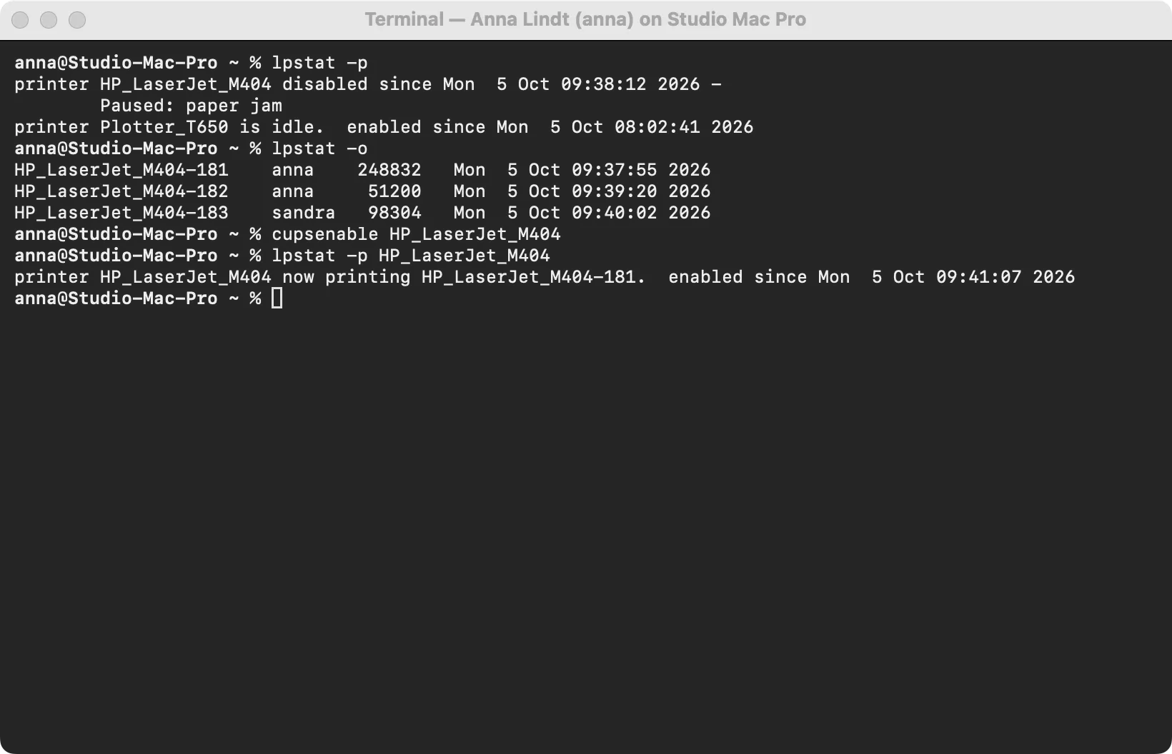 A terminal-only session: a shell on the customer's Mac without sharing the screen.
